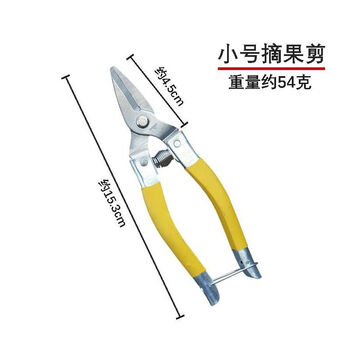 An junsheng a-grade luoding fruit scissors, medium yellow, small yellow and thin fruit scissors, garden scissors, stainless steel fruit picking scissors, orange pruning pruning, vegetable and fruit scissors, small size - yellow luoding fruit picking scissors