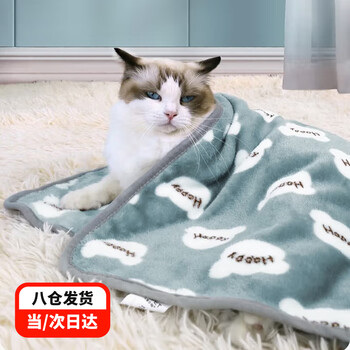 Pilot cat blanket mat winter warm quilt for cats and dogs to sleep in double-sided blanket all seasons pet bed cover happy bear 70*50cm