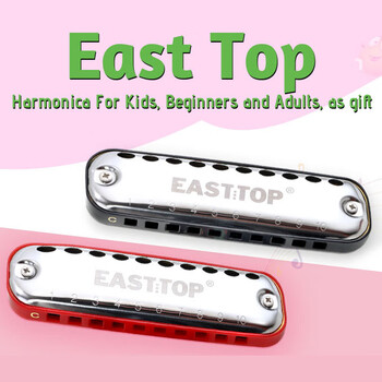 Dongfang ding dongfang ding 10-hole oval blues blues harmonica beginners gift t10-1 kindergarten black