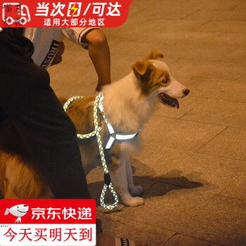 Pet reflective traction rope, vest-style cat and dog rope, large, medium and small dog walking leash, chest harness, anti-bite chain, 1.2m*1.5cm-recommended 1-10kg