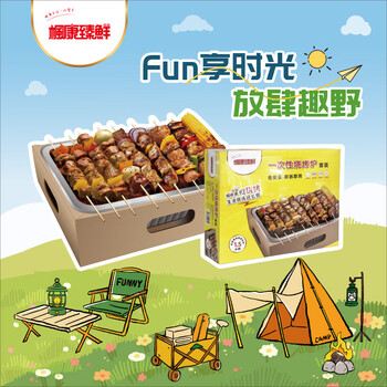 Fengkang zhenxian disposable barbecue grill outdoor barbecue charcoal grill barbecue rack car supplies portable household barbecue grill set 4 sets