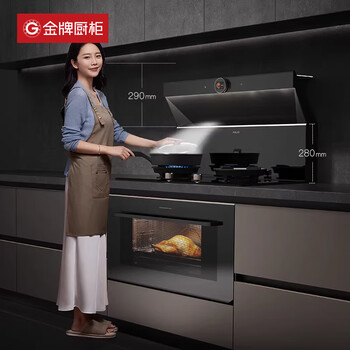 Ji litian kitchen cabinets kitchen integrated cabinets customized household quartz stone countertops stove cabinets and electrical integrated kitchen 3-meter base cabinet 3-meter countertop (d012/d013/d011