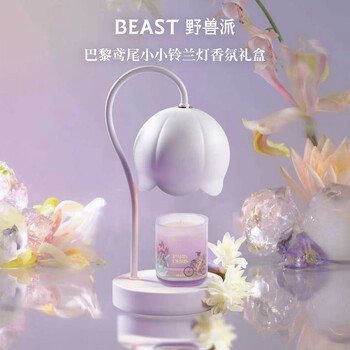 The beast paris iris little lily of the valley lamp scented candle gift box melted wax lamp wedding gift birthday gift