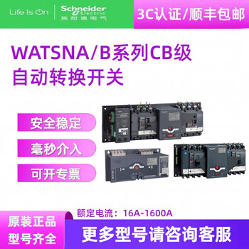 Schneider wangao dual power automatic transfer switch watsna-100/4p cb level transfer switch