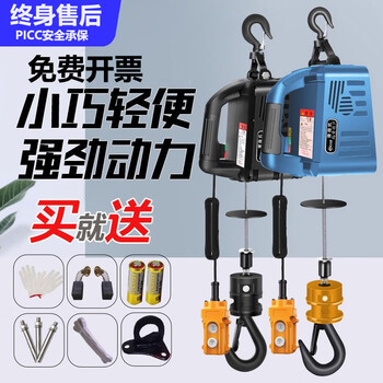 Portable miniature electric hoist 0.5 ton 220v small crane 300 kg lifting hoist household wireless remote control 500 kg 7.6 meters