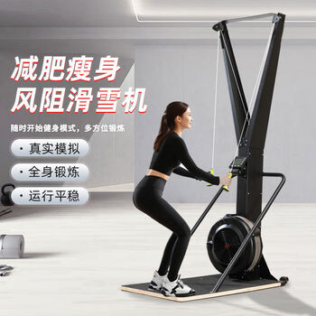 Sheng qi ti yu wind resistance ski machine commercial c2 indoor ski simulator aerobic exercise aerobic core fitness equipment ski machine wind resistance ski machine
