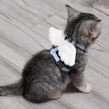 Amore cat leash anti-breakaway special cat leash i-shaped adjustable teddy bichon small dog leash blue wings s-small