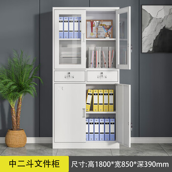 Pupan financial accounting office iron sheet file cabinet personnel file cabinet thickened lockable dustproof storage layered storage cabinet medium two-bucket file cabinet (shipment complete, upgraded and thickened) 1.35mm