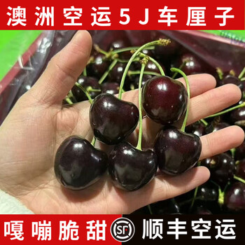 Fengyuyuan sf air freight australian cherries tasmanian black pearl large cherry gift box fresh fruit 2kg (net weight) family pack (unboxing and delivery) extra large fruit 2j single fruit 28-30mm