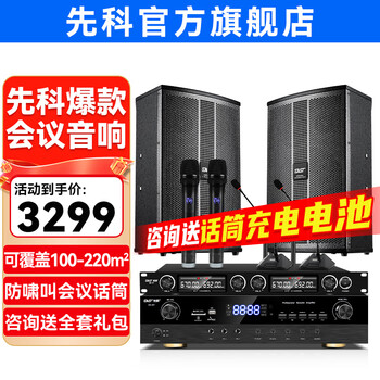 Xianke conference room audio equipment complete set combination home theater ktv music school training special system bluetooth amplifier microphone all-in-one wall-mounted stage speaker k5v two 12-inch audio set two microphones two goosenecks (100-220 square meters