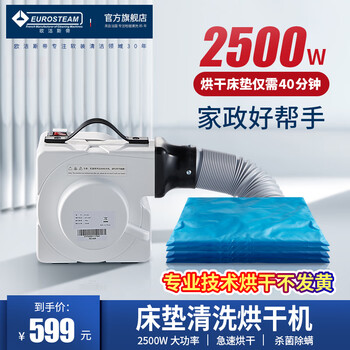 Ojesti carpet cleaning machine sofa curtain mattress fabric household small hotel multifunctional dry cleaning spray extraction cleaning machine white official standard + gray water tankless version official standard + junior version