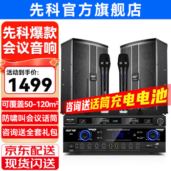 Xianke conference room audio equipment complete set combination home theater ktv music school training special system bluetooth amplifier microphone all-in-one wall-mounted stage speaker k5v two 8-inch audio set two microphones (50-120 square meters)