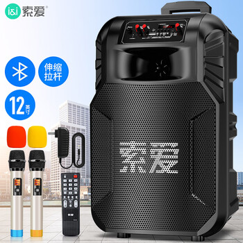 Sony ericsson (soaiy) 12-inch square dance audio high-power portable outdoor heavy bass bluetooth karaoke special high-volume mobile trolley speaker outdoor performance equipment dual microphone sa-t25