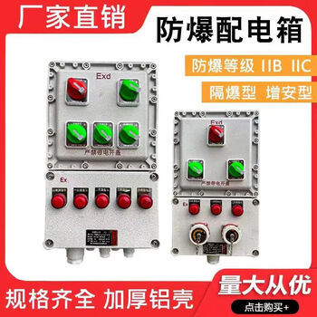 Explosion-proof distribution box control box lighting power box maintenance power socket box switch electric control cabinet stainless steel customization complete set of five circuits + main switch_exde_iibt4_6