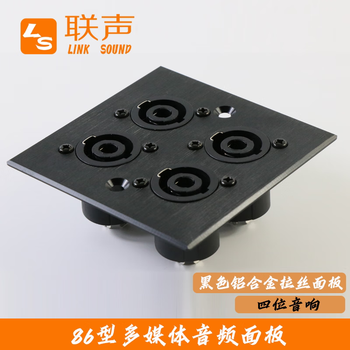 1~2~4 position audio socket