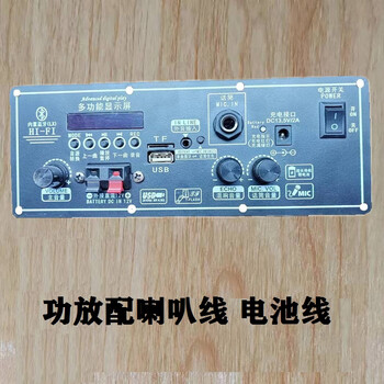 Budi 12v50w square dance speaker amplifier bluetooth u disk karaoke radio charging subwoofer 12v50w amplifier