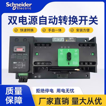 Schneider wangao dual power automatic transfer switch watsna63a100a125a4p/pc level transfer switch 125a 2p