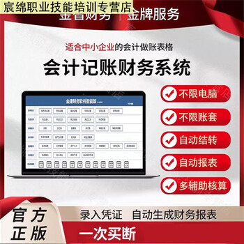 Accounting software excel financial automatic reporting form system stand-alone manual accounting small business agency accounting exclusive version (salary module + new standards report) electronic version online disk delivery