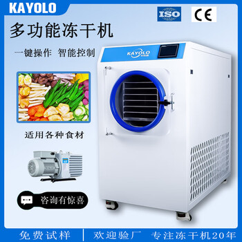 Kayolo freeze dryer small home commercial beauty food fruit and vegetable dry powder intelligent dehydrator vacuum drying box hl-1 upgrade 0.1 low noise