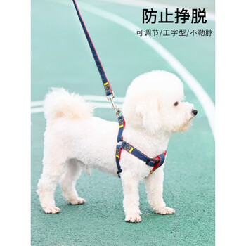 Whale ness japanese imported dog leash, small dog chain, dog collar, teddy dog walking rope, pet supplies, blue denim three-piece set, s-small, bust 25-40, recommended 3-8 pounds