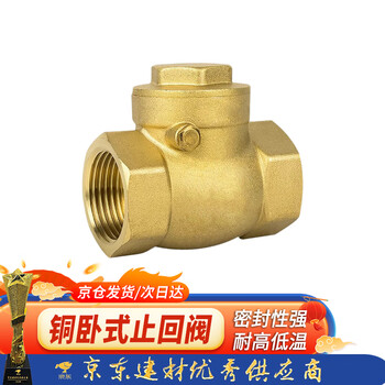 Steel pre-made products copper horizontal check valve thickened spring check valve copper rod check valve water pipeline pump meter dn20 (6 points) one price