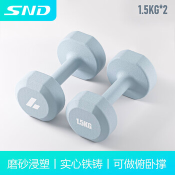 Schneider impregnated cast iron dumbbells for women small dumbbells for home sports and fitness equipment dormitory solid non-slip compact sky blue pair 1.5kg*2