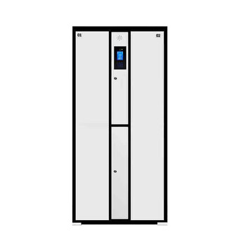 Tiewa two-door smart locker 800x450x1800mm