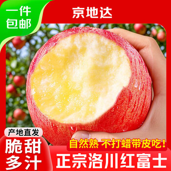 Jingdida apple luochuan apple red fuji apple fruit fresh net weight 8.5 jin single fruit 80mm + direct shipping from source