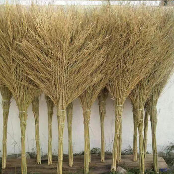 Mo peng outdoor broom courtyard hard bamboo sanitation worker street road factory school yard construction site sweeping household one-piece defoliation model 4 pounds 10