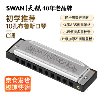 Swan (swan) 10-hole c key blues harmonica for beginners, entry-level students, adult professional teaching harmonica silver