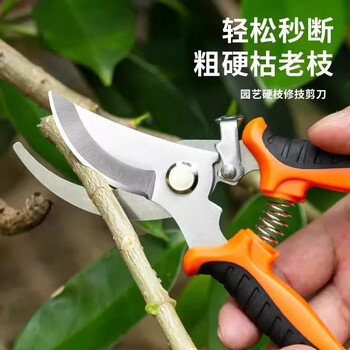 Haiduo gardening pruning scissors, scissors for powerful pruning of branches, gardening scissors for pruning fruit tree branches, special for orchards, pruning shears-orange and black, free sharpening tool