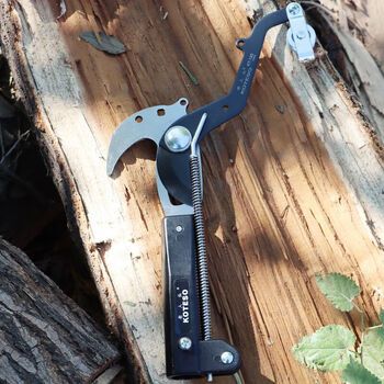 Rsrddy old man's head new tree spring scissors high-altitude branch pruning knife chestnut shears gardening scissors hand-pull high branch shears tree shears 3 old man's head large diameter