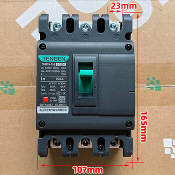 Tianzheng electric tengentgm1n plastic case circuit breaker main switch 100a125a250a400a630a tgm1n-250l/3300160a