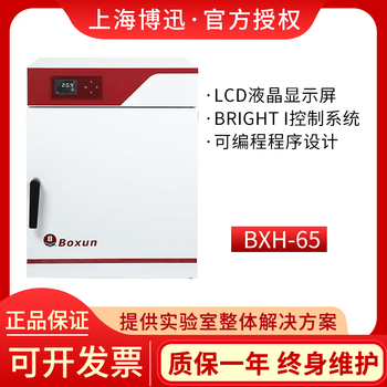 Boxun shanghai boxun bxh-65 electric dryer drying oven bxh-65