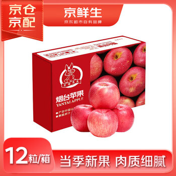 Jingxiansheng yantai red fuji apple, net weight 5.2kg/12 pieces, single fruit 190-240g, fruit gift box
