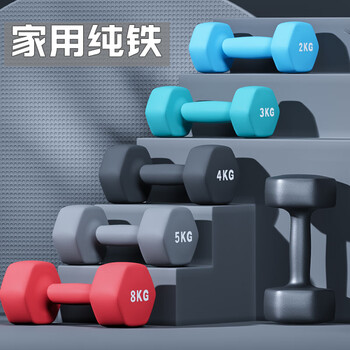 He jiagong dumbbells for men's fitness home use 2kg 3kg 4kg 5kg 10kg a pair of pure iron solid cast iron teenagers total weight 16kg single 8kg*2 burgundy high strength buy any three sets and get a free dumbbell rack