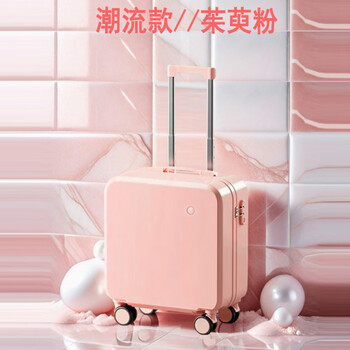 Lightweight carry-on suitcase for women 18-inch suitcase mini universal wheel trolley case for men 20-inch suitcase small leather suitcase cornus officinalis powder - trendy style 18-inch carry-on suitcase