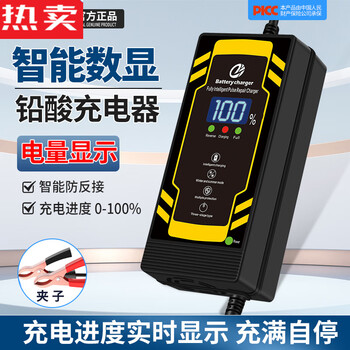 Zuimi german imported quality 24v lead-acid battery car charger 12ah20a battery electric wheelchair car small dolphin car intelligent digital display 24v6ah-14ah clip head (standard