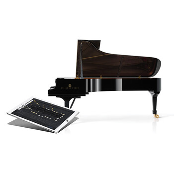 Steinway d-274 spirio | r xinyue high-resolution automatic performance and recording version of the piano