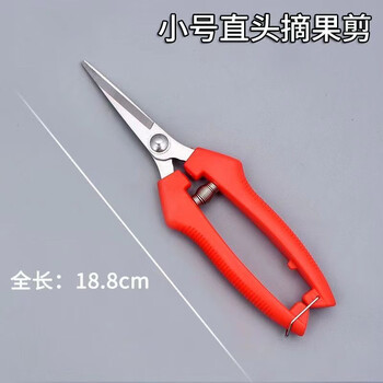 Naoiskey multifunctional fruit picking shears, fruit thinning shears, grape flower thinning shears, flower pruning shears, citrus pepper picking scissors, fruit shears, straight head, small size