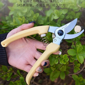 Gardening scissors pruning scissors for fruit trees sasaki 130