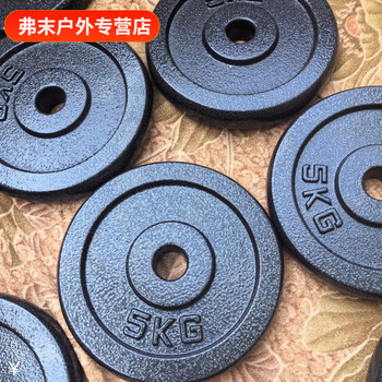 Vinoa dumbbell sheet cast iron fitness equipment household dumbbell sheet small hole paint sheet weighted sheet dumbbell sheet pure iron 0.5kg*2 pieces (total weight 2 catties)