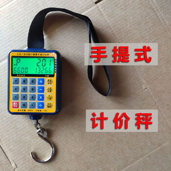 Accurate pricing portable electronic scale commercial portable small high-precision household 50kg express weighing vegetable selling scale strap portable hook scale 50kg/10g