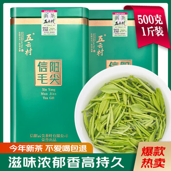 Wuyun village 2025 new tea xinyang maojian 500g tea green tea special spring tea 2 cans total 1 jin for self-drinking with gift bag box