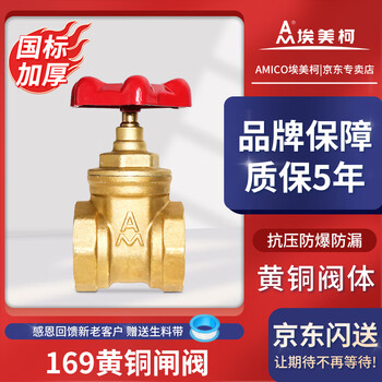Am amico zk01-169 brass gate valve z15w-16t internal thread gate valve tap water valve dn20/6 points