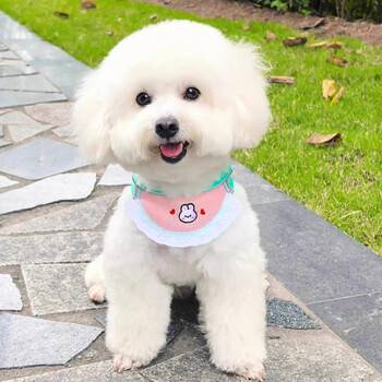 Amor dog saliva towel chest and back leash bib for small and medium-sized dogs bichon frize teddy breathable anti-breakaway dog walking rope green cute rabbit xs-about 3-6 pounds, bust 34-38