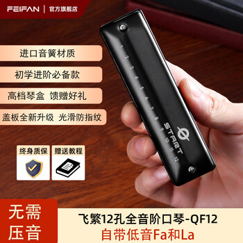 Feifan feifan 12-hole c diatonic harmonica for children and beginners to practice advanced adult professional performance instruments