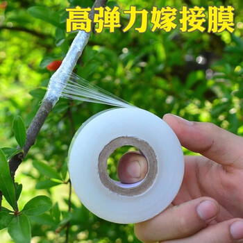 Guanyue special film for grafting film paper, no need to disassemble, fruit tree wrapping film, self-adhesive grafting, transparent stretch film, insulation film, plastic film, short cling film, about 200 meters long, 5cm wide (1 roll)