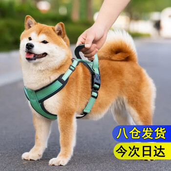 Dipur dog leash anti-breakaway harness reflective pet leash small and medium dog pet harness* single harness m recommended 10-15 catties