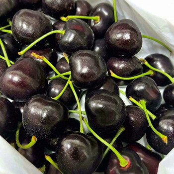 Dalian russian no. 8 big cherry russian no. 8 black pearl big cherry dragon boat festival 7j8j9j domestic cherries 1kg (net weight) 2kg 7j (single 19-21g)